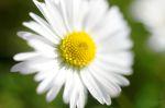Frühling 20140309 121920