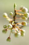 Frühling 20140309 123004