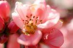 Frühling 20140309 131400