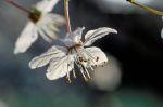 Frühling 20140311 085634