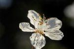 Frühling 20140311 085817