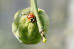 Frühling 20140312 134907