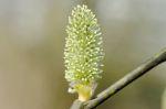Frühling 20140312 135702