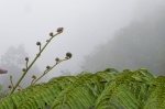 Madeira 2024 02 12 15 08 36