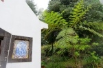 Madeira 2024 02 12 15 17 18