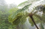 Madeira 2024 02 12 15 31 14