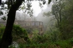 Madeira 2024 02 12 16 29 56