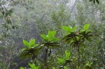Madeira 2024 02 12 16 31 14