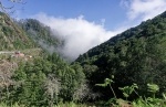Madeira 2024 02 14 12 15 37