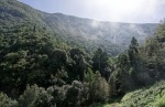 Madeira 2024 02 14 12 24 56