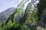 Madeira 2024 02 14 12 54 57