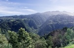 Madeira 2024 02 16 16 01 06