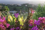 Madeira 2025 03 02 18 35 24