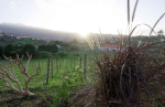 Madeira 2025 03 02 18 38 56