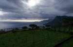 Madeira 2025 03 03 09 11 57