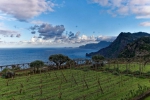 Madeira 2025 03 04 17 37 42