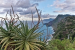 Madeira 2025 03 04 18 08 56