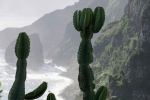 Madeira 2025 03 05 09 05 51