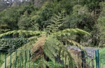 Madeira 2025 03 07 12 26 24