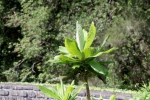 Madeira 2025 03 07 12 26 42