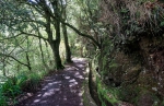 Madeira 2025 03 07 12 33 10
