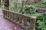 Madeira 2025 03 07 12 38 02