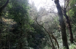 Madeira 2025 03 07 12 39 47