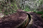 Madeira 2025 03 07 12 43 32