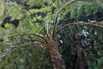 Madeira 2025 03 07 13 01 51