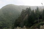 Madeira 2025 03 07 14 38 14