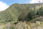 Madeira 2025 03 07 14 56 58