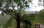 Madeira 2025 03 07 15 03 08