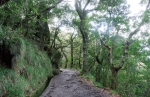 Madeira 2025 03 07 15 12 45
