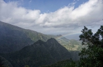 Madeira 2025 03 07 15 24 10