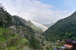 Madeira 2025 03 07 16 00 59