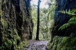 Madeira 2025 03 07 16 10 04