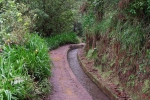 Madeira 2025 03 03 16 56 12
