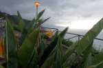 Madeira 2025 03 03 18 04 04