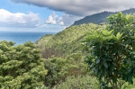 Madeira 2025 03 05 16 04 42
