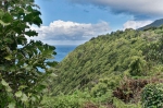 Madeira 2025 03 05 16 07 52