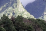 Madeira 2025 03 05 17 08 22