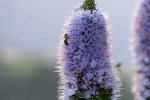 Madeira 2025 03 06 11 45 44
