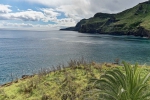 Madeira 2025 03 08 14 30 27