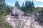 20101127 092539 Neuseeland Rotorua Reporoa Best Of