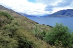 20101205 154407 Neuseeland Wanaka Lake Hawea On The Road