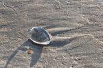 Norderney 20140813 193454