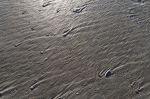 Norderney 20140813 193548