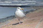 Norderney 20140814 154054