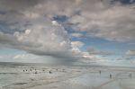 Norderney 20140814 162627