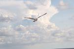 Norderney 20140815 192802